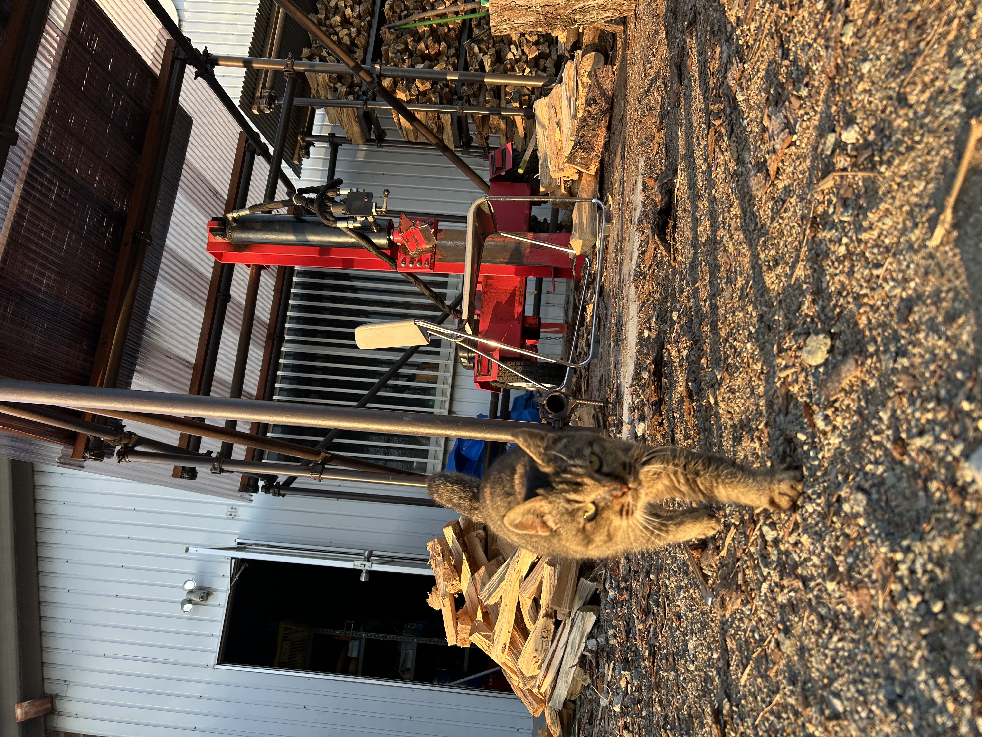 2月の予約が始まりました！