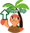 PAGE TOP